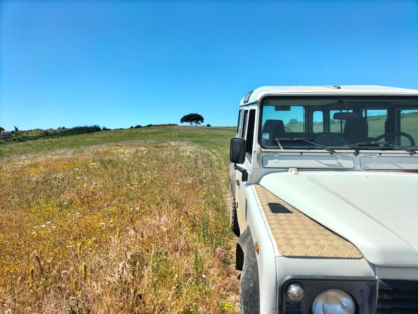 Winery, Tastings & 4x4 Vineyards: Half-Day Trip from Lisbon - A Half-Day Lisbon Wine Escape With 4x4 Vineyards Time