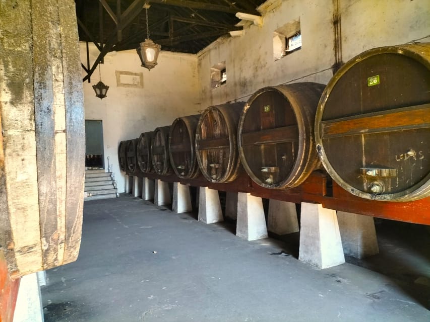 Winery, Tastings & 4x4 Vineyards: Half-Day Trip from Lisbon - Inside the Wineries: Guided Tours of Cellars, Vineyards, and Estates