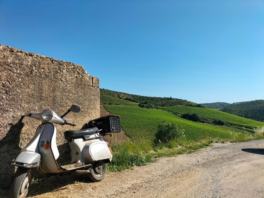 Winery, Tastings & 4x4 Vineyards: Half-Day Trip from Lisbon - The Tasting Lineup: 4 to 5 Wines Plus Local Tapas