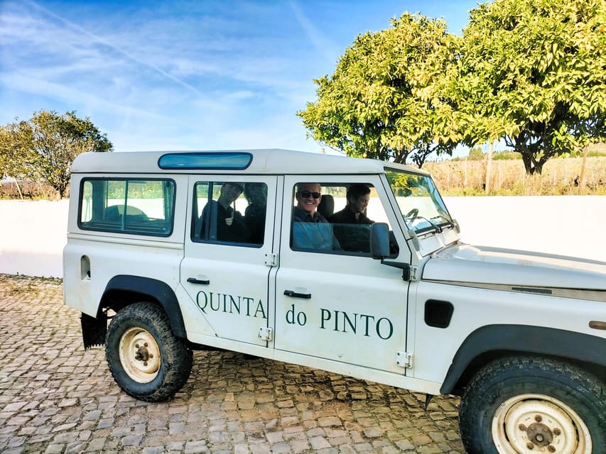 Winery, Tastings & 4x4 Vineyards: Half-Day Trip from Lisbon - The Off-Road Jeep or Buggy Ride (Made for Fun, Not Fear)