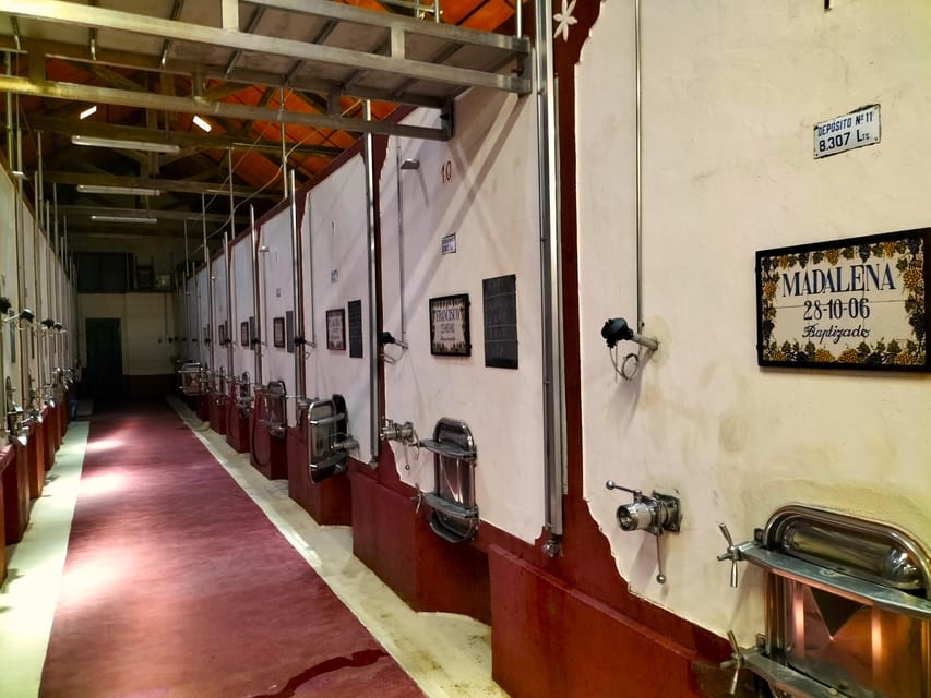 Winery, Tastings & 4x4 Vineyards: Half-Day Trip from Lisbon - What $176 Buys: Value, Not Just Cost