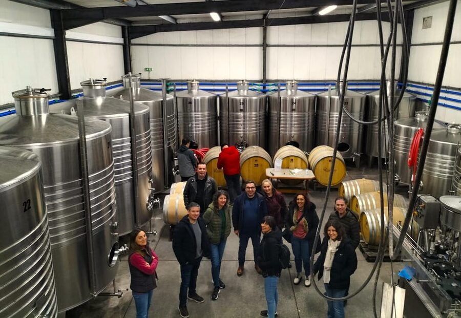Winery, Tastings & 4x4 Vineyards: Half-Day Trip from Lisbon - Who Should Book This Tour (And Who Might Not)