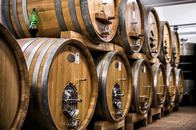Winery Tour and Private Tasting in Montefalco - Price and value: is $28.66 per person fair for this format?