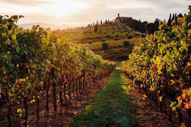 Winery Tour and tasting - The Parma Hills Drive: Private Minibus, Scenic Pace, Real Value