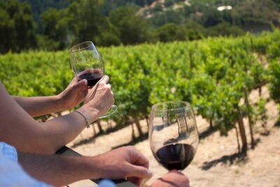 Winery Tour and Tasting - Arrival at 850 Mount Cotton Rd: where the experience begins