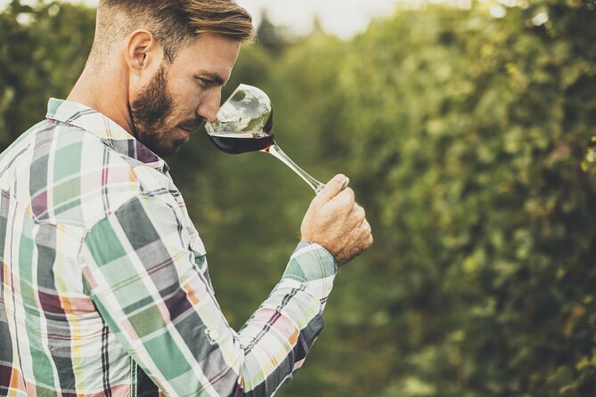 Winery Tour and Tasting in Tenerife with the Sommelier - How the Hills Above Santa Cruz Make Wine Taste More Honest