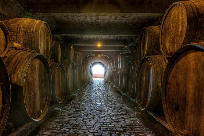 Winery Tour and Tasting in Tenerife with the Sommelier - Tacoronte-Acentejo Wines: Why This Region Matters on Tenerife