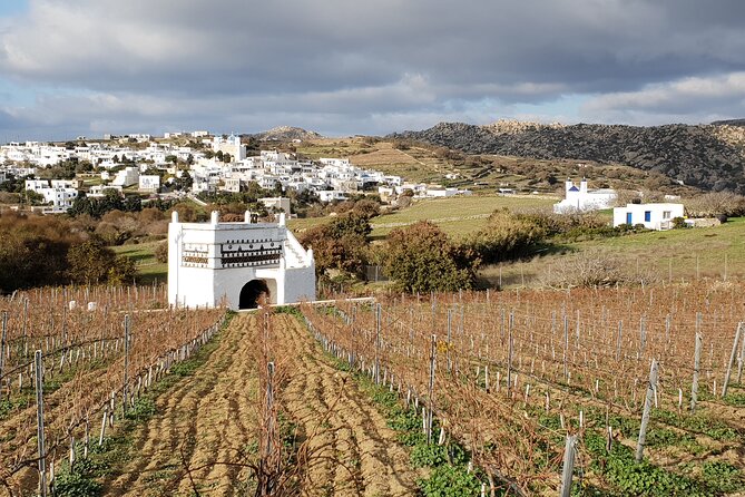 Winery Tour and Tasting in Tinos with the Winemaker - Why a winemaker-led tour in Steni hits differently