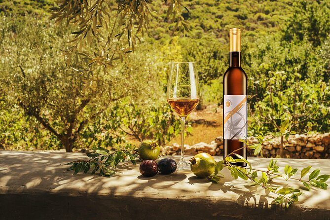 Winery Tour and Tasting in Zakynthos with the Winemaker - The Organic Vineyard Walk and Local DOC Planting Ideas