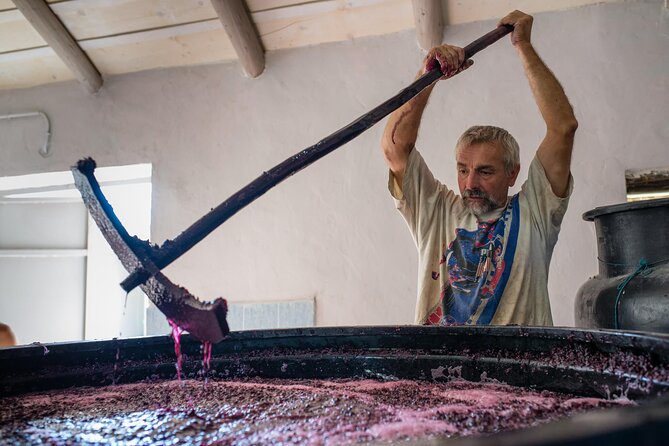Winery Tour and Tasting in Zakynthos with the Winemaker - The Tasting: 7 Wines with Handmade Bread, Olive Oil, and Fig Syrup