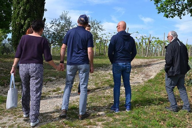 Winery Tour and Tasting of Garda Wines in Lazise - A late-afternoon wine walk at Bergamini near Colà
