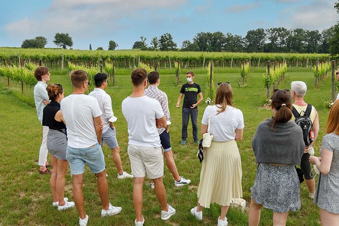 Winery Tour and Tasting of Garda Wines in Lazise - Vineyards first, cellar next: how a 5-generation farm teaches you to read wine