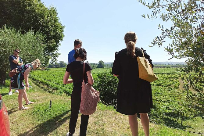 Winery Tour and Tasting of Garda Wines in Lazise - Price and value: what $50.79 buys you on Lake Garda