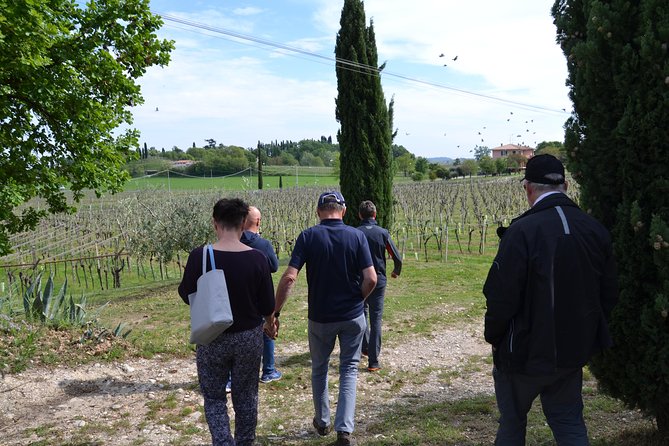 Winery Tour and Tasting of Garda Wines in Lazise - Language mix: English offered, with German and Italian in the room too
