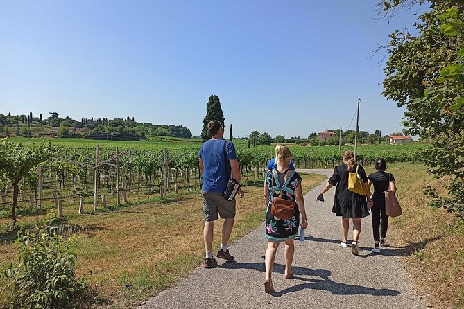 Winery Tour and Tasting of Garda Wines in Lazise - What you actually taste: Bardolino, Chiaretto, Custoza, and more