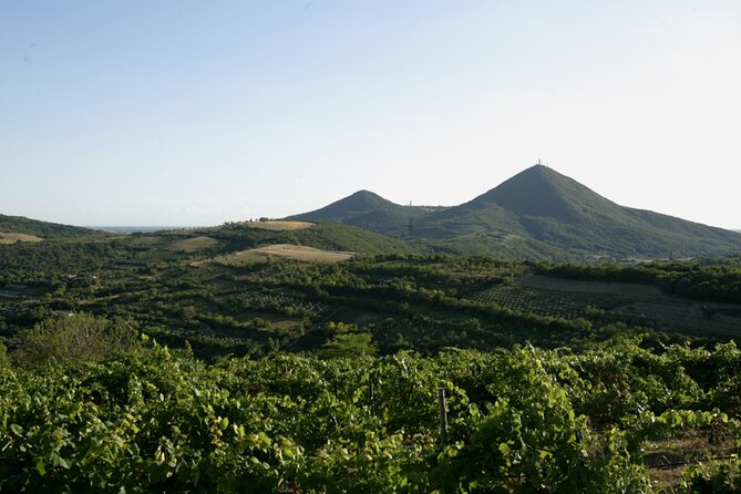 Winery Tour and Tasting on Padua Hills - Stop 1: Cantina Salvan and the Pigozzo story since 1914