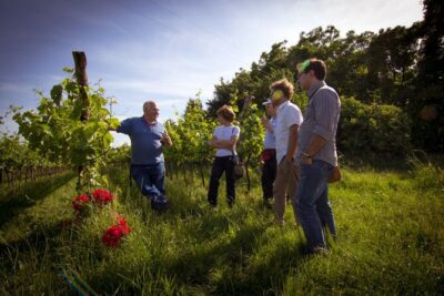 Winery Tour and Tasting on Padua Hills - Arriving at the meeting point in Due Carrare