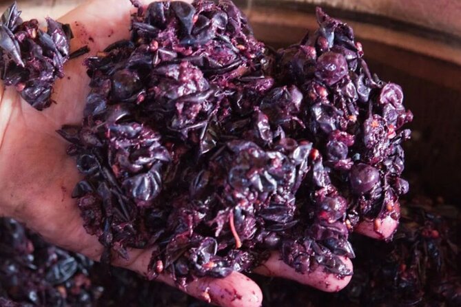 Winery Tour and Tasting on Padua Hills - The tasting menu: 4 wines plus real pairings