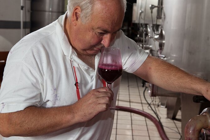 Winery Tour and Tasting on Padua Hills - Price and value: what $59 buys you here