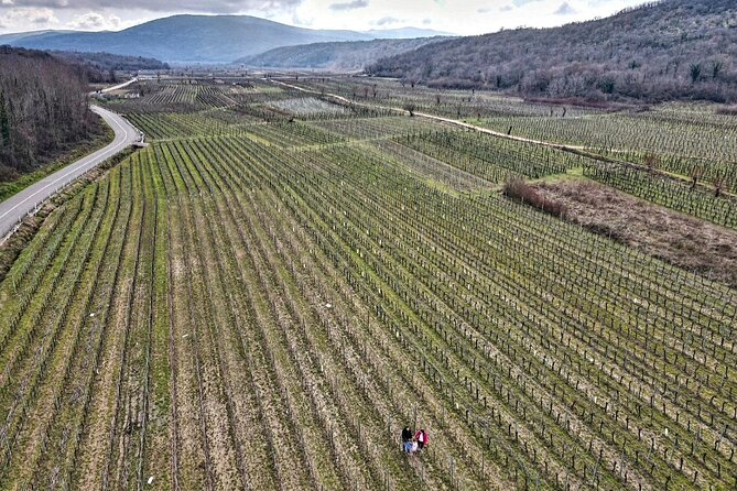 Winery Tour and Tasting with the Sommelier in KRK - Key highlights to look for