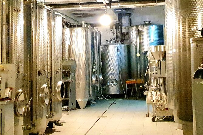 Winery Tour and Tasting with the Sommelier in KRK - Who this experience fits best (and who should rethink it)