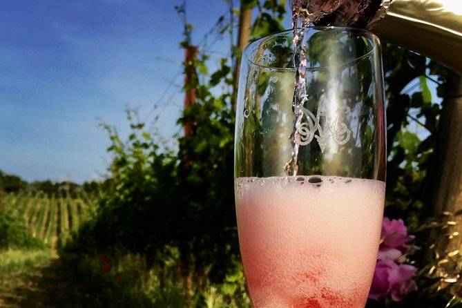 Winery tour and wine, cheese & charcuterie tasting - Who this tour is best for (and who should skip it)