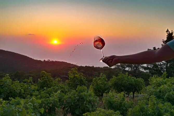 Winery Tour and Wine Tasting at Karimalis Winery in Ikaria - Final verdict: should you book?