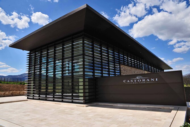 Winery Tour and Wine Tasting in Montepulciano d'Abruzzo - What the Vineyard Visit Feels Like (Not a Step-Back-in-Time Vibe)