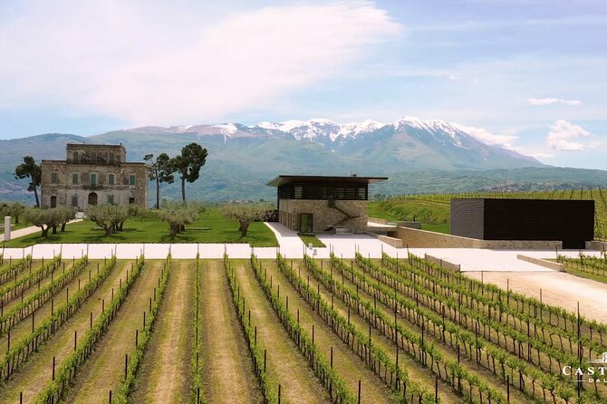 Winery Tour and Wine Tasting in Montepulciano d'Abruzzo - Timing, Format, and Why 90 Minutes Works