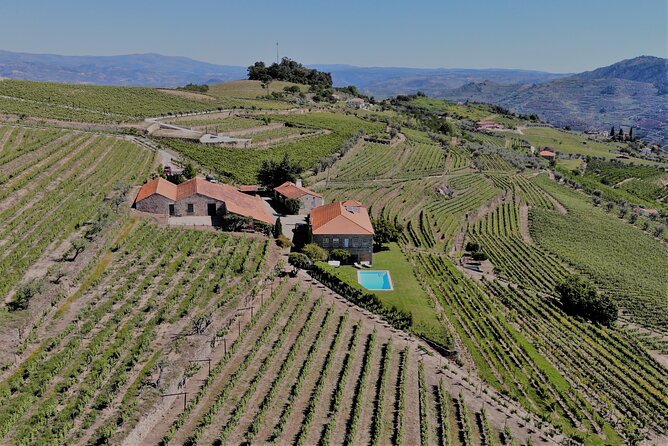 Winery Tour and Wine Tasting Quinta da Portela de Baixo in Lamego - The Tasting Flight: Sparkling, DOC Douro White and Red, Plus Three Ports