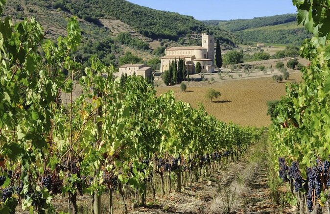 Winery Tour & Gourmet Tasting in Montalcino - Key highlights worth knowing before you go