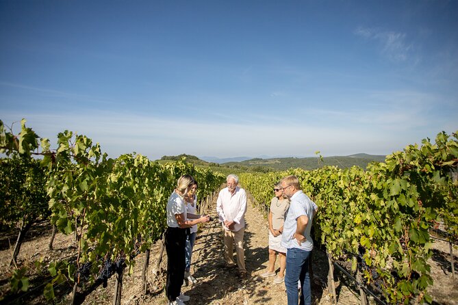 Winery Tour & Gourmet Tasting in Montalcino - Guide quality: why names like Andrea and Emma show up