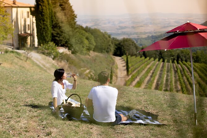 Winery Tour & picnic in the vineyard with a bottle of wine - The guided walk: vineyards, terroirs, and the working winery vibe