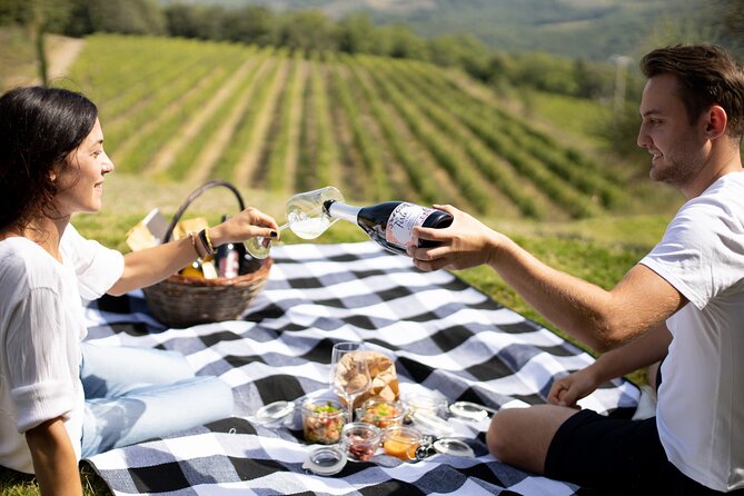 Winery Tour & picnic in the vineyard with a bottle of wine - The picnic in the vineyard: food you can taste with the wine