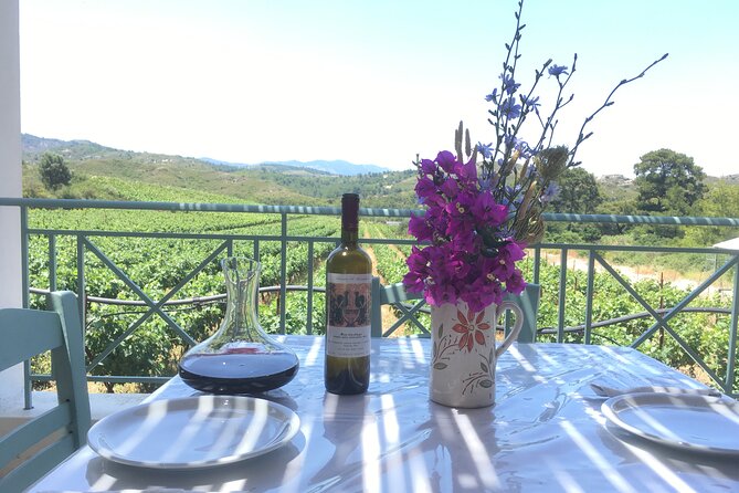 Winery Tour, Tasting and cooking with the Winemaker in Rhodes - Key Highlights You’ll Feel Right Away