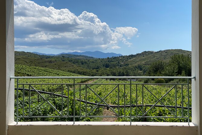 Winery Tour, Tasting and cooking with the Winemaker in Rhodes - Hands-On Greek Cooking: Mezedes You Make (Then Eat)