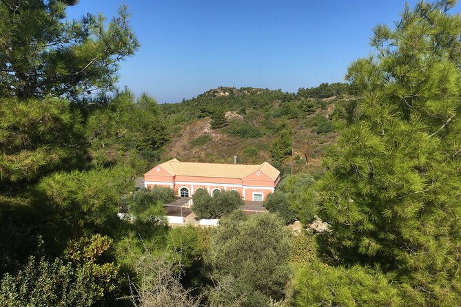 Winery Tour, Tasting and cooking with the Winemaker in Rhodes - Tsipouro Distillery Stop: Learn the Distillation, Then Sip