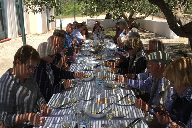 Winery Tour, Tasting and cooking with the Winemaker in Rhodes - Price and Logistics: How $94.93 Plays Out in Real Value
