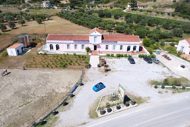 Winery Tour, Tasting and cooking with the Winemaker in Rhodes - Who Should Book This Rhodes Winemaker Day (and Who Might Not)