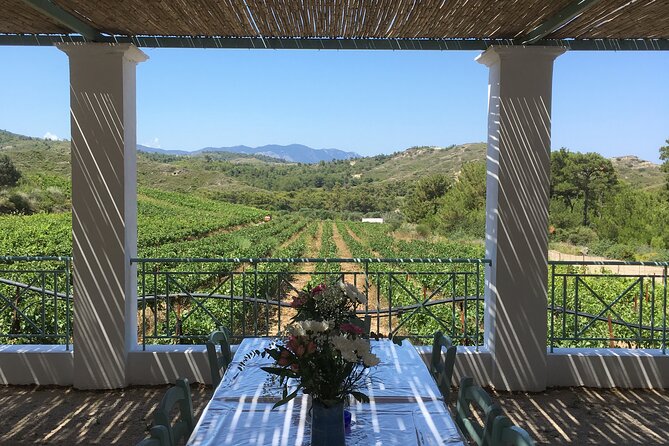 Winery Tour, Tasting and cooking with the Winemaker in Rhodes - What to Know Before You Go (Quick, Practical Prep)