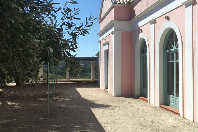 Winery Tour, Tasting and cooking with the Winemaker in Rhodes - Should You Book This Winemaker Experience?