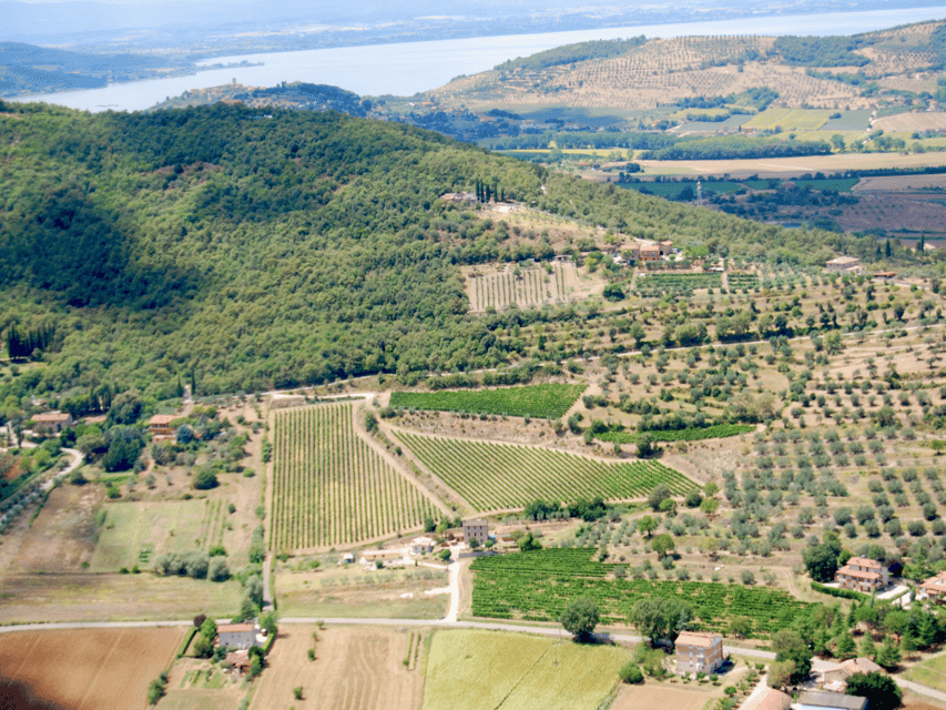 Winery Tour & Tasting near Lake Trasimeno & Perugia - Price and value: is $65 for 6 wines and food reasonable?