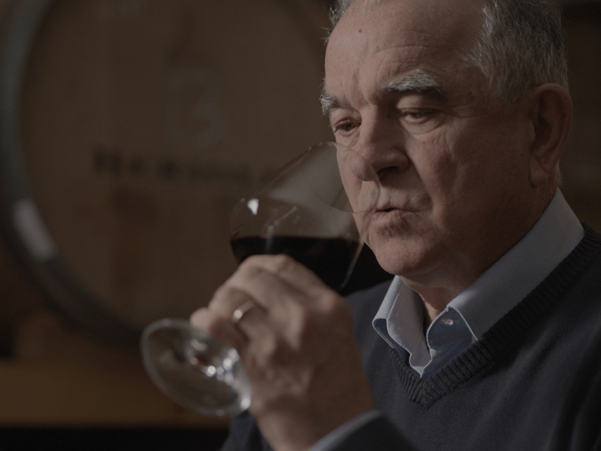 Winery Tour & Tasting near Lake Trasimeno & Perugia - What the 1.5-hour tasting feels like: vineyards, cellar, and 6 wines