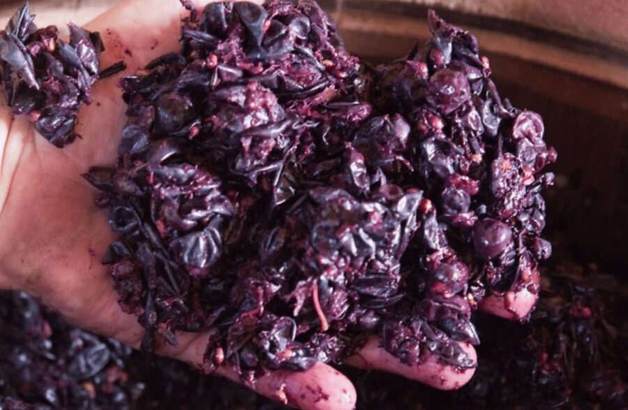 Winery Tour & Tasting on Padua Hills - Should you book the Padua Hills winery tour at Cantina Salvan?