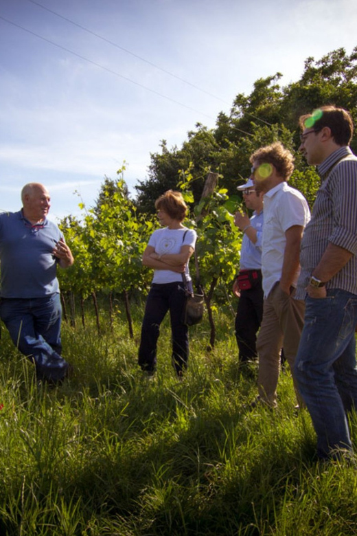 Winery Tour & Tasting on Padua Hills - Vineyard walk: ancient vines, plus pergola and Guyot