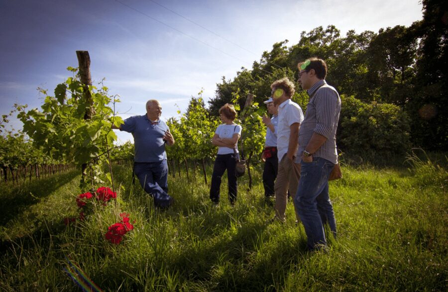 Winery Tour & Tasting on Padua Hills - The tasting lineup: four key labels, plus cheese and cured hams