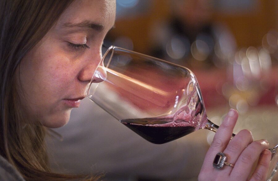 Winery Tour & Tasting on Padua Hills - Price and value: is $65 worth it near Padua?