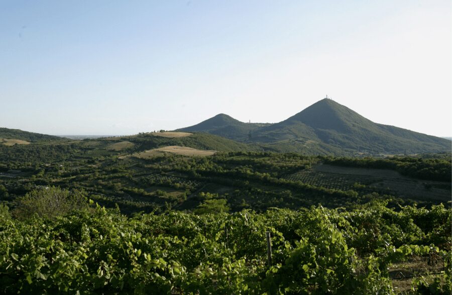 Winery Tour & Tasting on Padua Hills - Who this tour suits best (and who should skip it)
