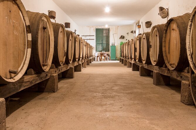 Winery Tour, Wine Museum, and Tasting in Gran Canaria - The Family Winery Walk: Photos, Volcanic Soil, and Organic Vines
