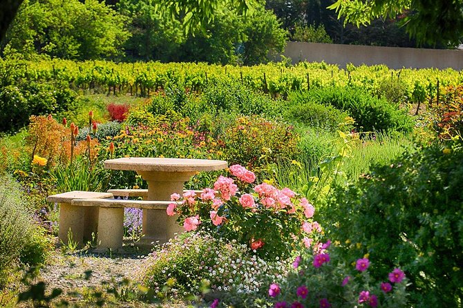 Winery Tour & Wine Tasting - Deli Plate & 3 Wines - Price and value: what $83.27 really buys you